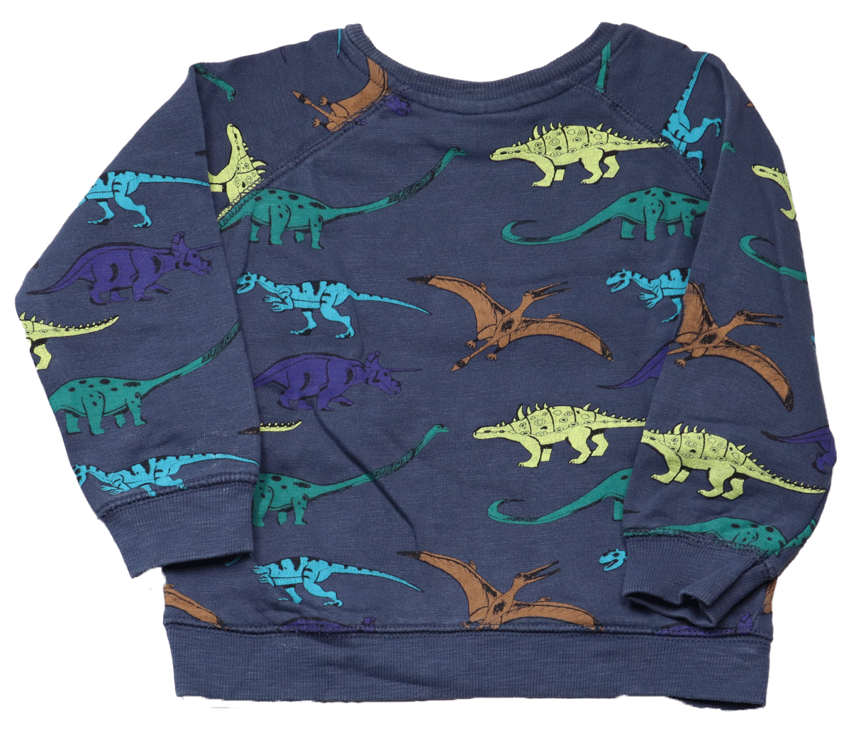 LongsleeveDinosaurusMountainAchterkant