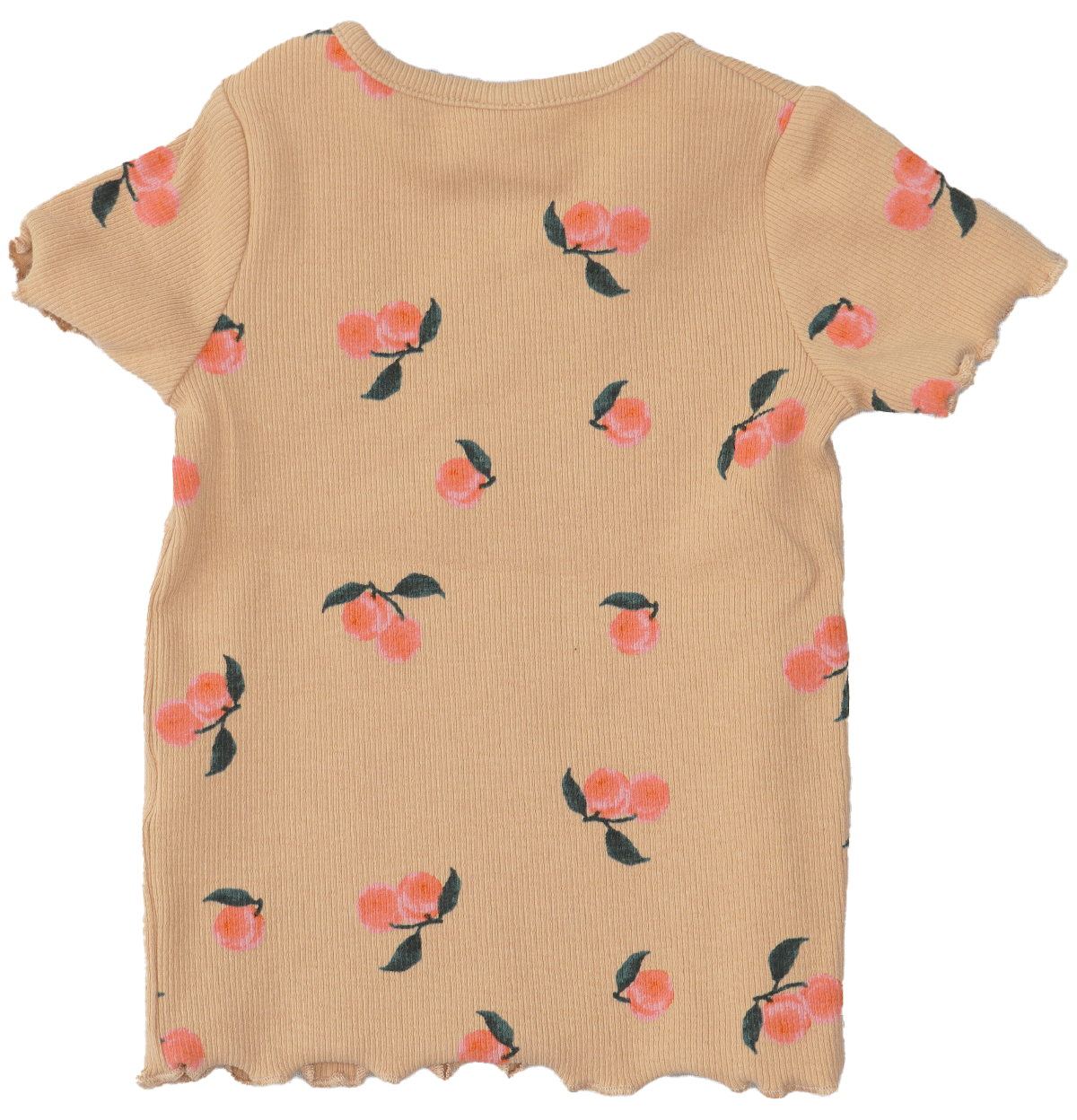 HemaShirtPerzikkenBeigeOranjeGroenMaat62Achterkant